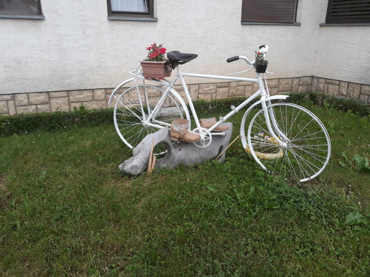 Apartman Luka Оґулин Екстер'єр фото