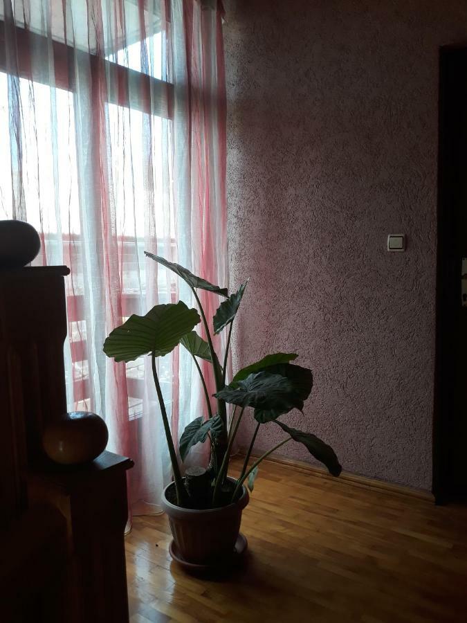 Apartman Luka Оґулин Екстер'єр фото