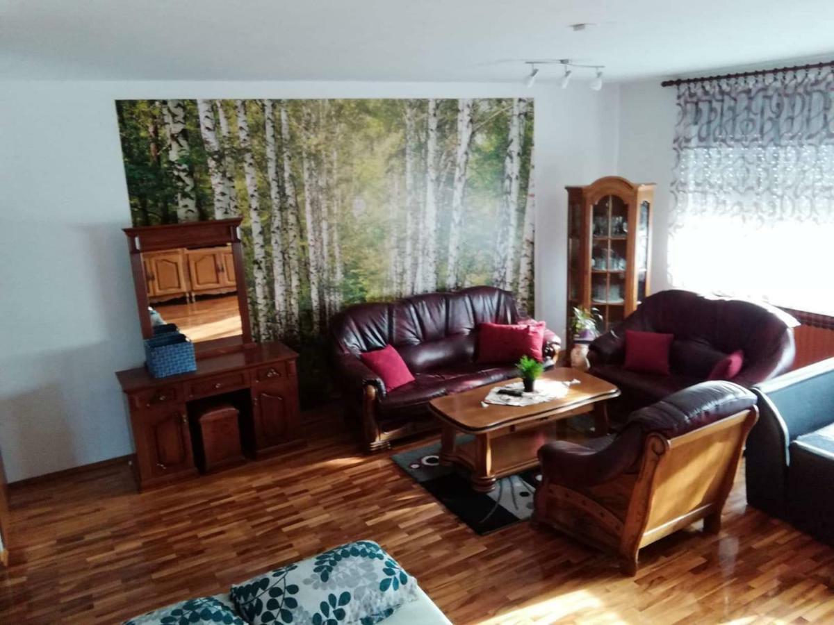 Apartman Luka Оґулин Екстер'єр фото